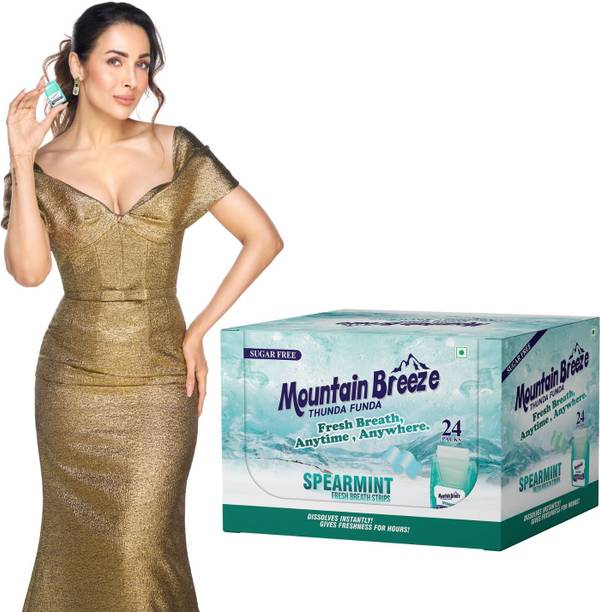 Mountain breeze Suger Free Spearmint Fresh breath Strips(24 Strips each) Pack of 24x24=576 Spearmint Mouth Freshener