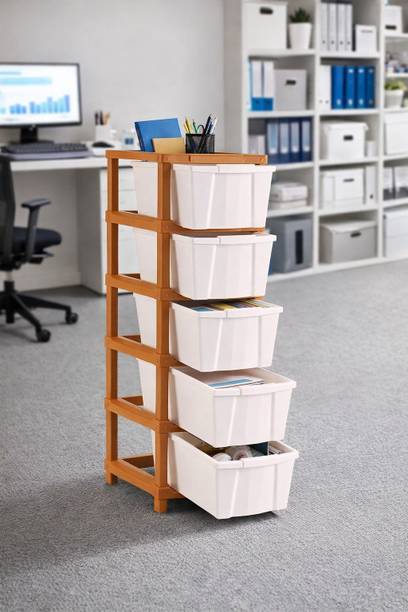 AK10ZONE 5 Compartments Plastic 5 Compartments Plastic Storage Drawer Box for Living Room and Bedroom