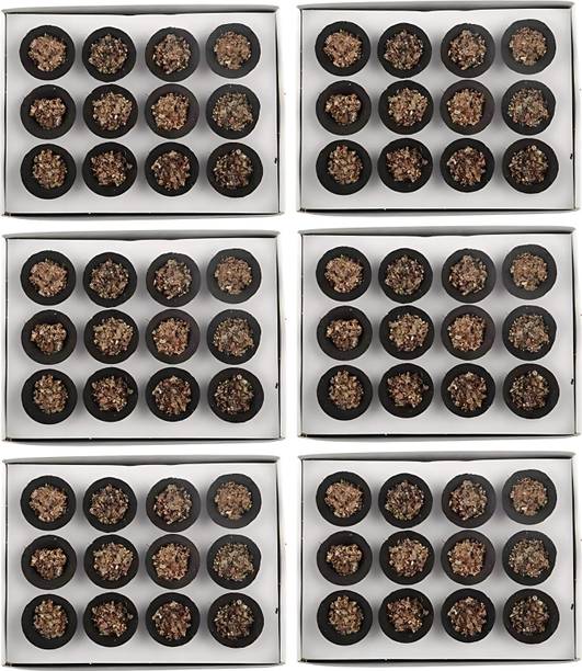 Airofine Fragrance Guggal Cows Panchgavya Dhuni Cups, Sambrani Dhoop cups Guggul Dhoop