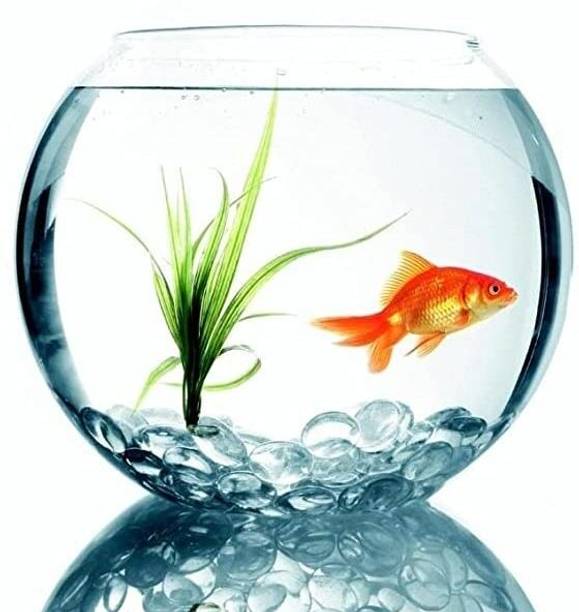 ATLOYAL Small Round Glass Fish Bowl, Decorative Aquarium Bowl for fish & Home Decor Round Ends Aquarium Tank