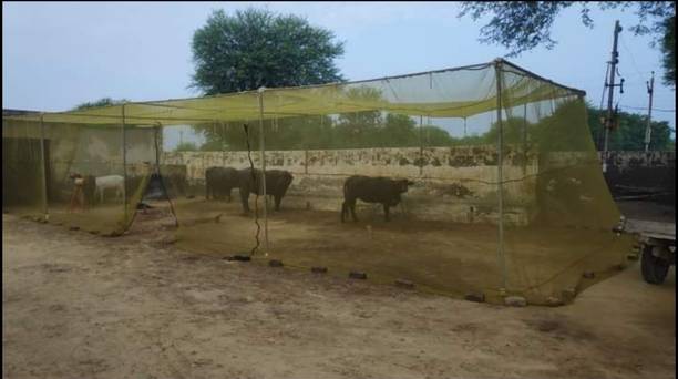 चिराग MULTICOLOR HDPE MOSQUITO NET FOR ANIMALS 10X10 HDPE - हाई डेंसिटी पॉली एथिलीन के लिए बनाया गया मॉस्कीटो नेट