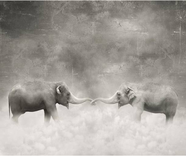 Pitaara Box 68.58 cm Couple Of Elephants Who Keeps With Their Trunks Like A Lovers Unframed Glossy PVC Vinyl Wall Sticker Decal Self Adhesive Sticker