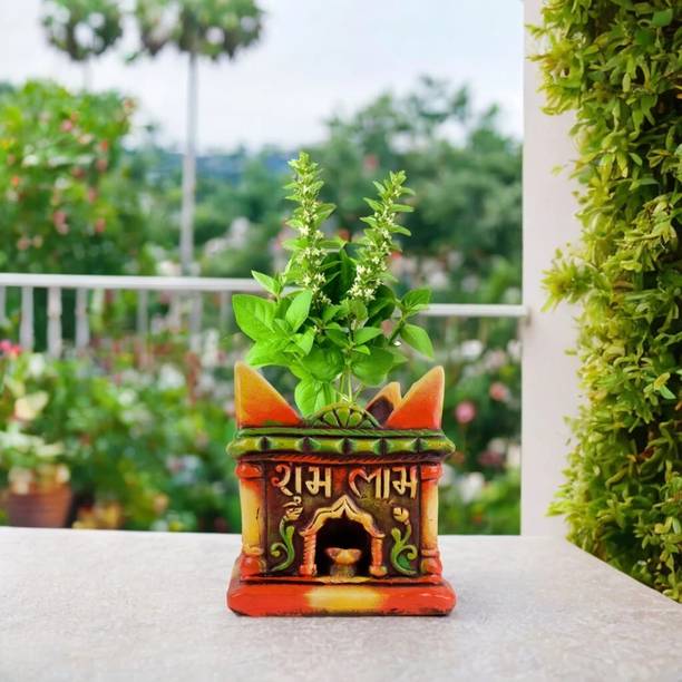 Turtulsgroup Terracotta tulsi Pots Home||Offcie with Good Packeging 7.5x9.5 Inch Multicolor Plant Container Set