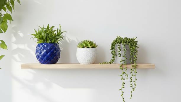 Gupta Homes Blue Anar GH0012_01_01 Round Flower Pots for Home Planters, Terrace, Garden Plant Container Set