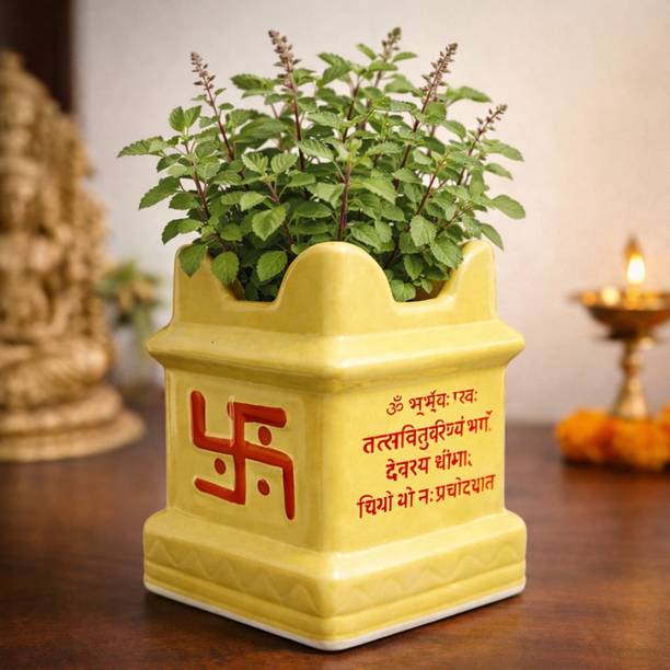 VIRMIC Designer Tulsi Pot – VastuFriendly, DurablePlanter for Home Temple - 7 Inch Plant Container Set