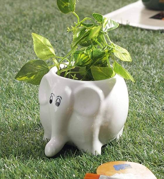नातुरहयल ELEPHANT SHAPE CERAMIC POT(BROWN) प्लांट कंटेनर सेट