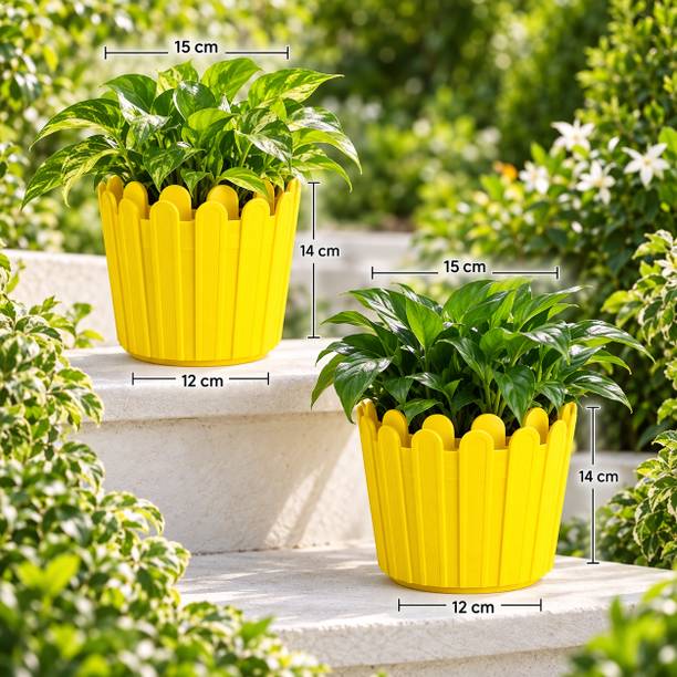Bazarioo Designer Decorative Planter Pot for Living Room Plants Plant Container Set