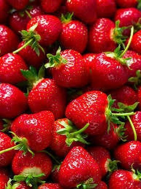 Wrenna Strawberry Plant