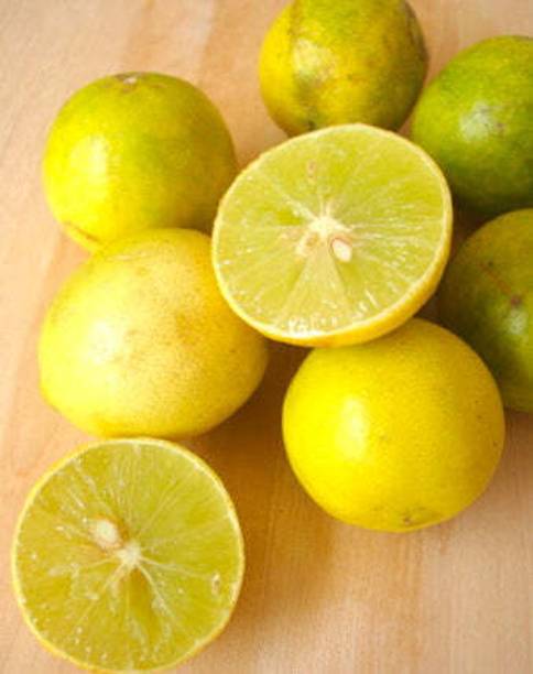 Green Era Lemon Plant