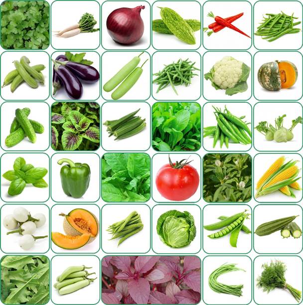 Aero Seeds 35 variety vegetable seeds combo pack with instruction manual. Seed