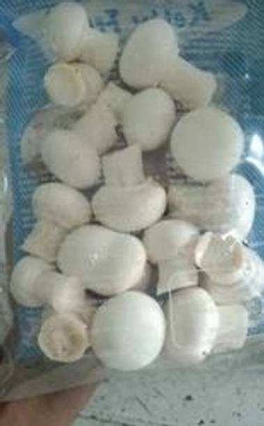 XOLDA Organic mushroom herb Seed