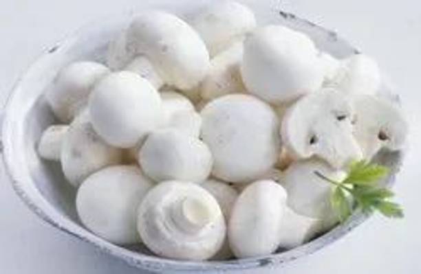 Mozette Organic mushroom herb Seed