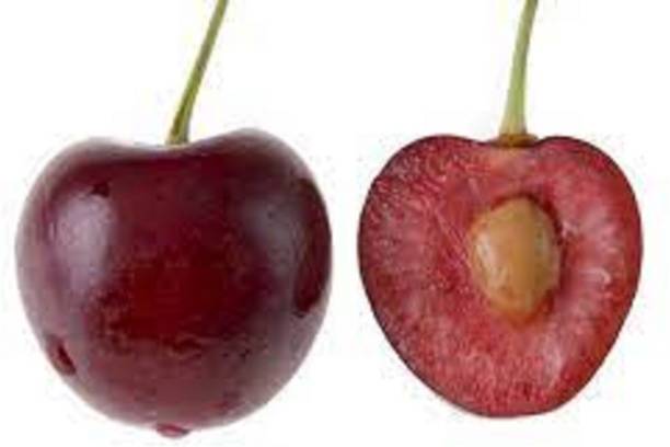 Sjeme CHEERY SEED, RED CHEERY SEED, ORGANIC CHEERY SEED, WINTER FRUIT SEED Seed