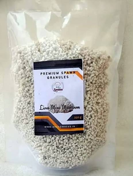 Aero Seeds Oyster Mushroom 200GM +(2 pp bag) Spawn/Seeds CO2 Variety Seed