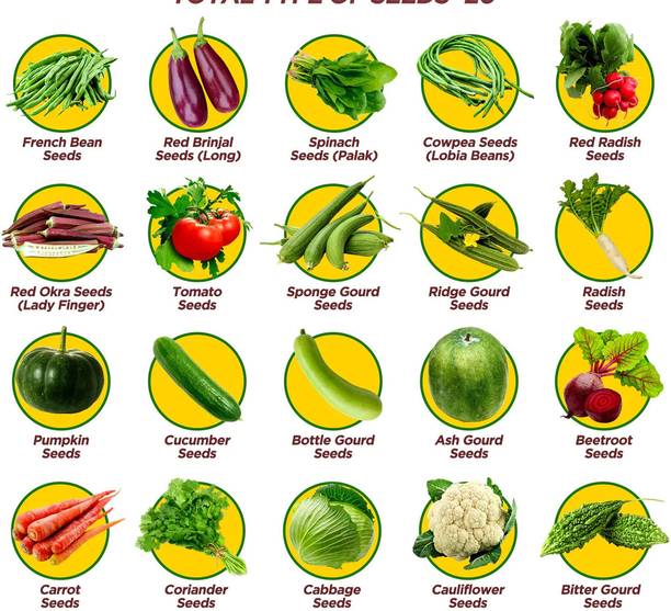 Greenery Hub 20-Vegetable Seeds Combo For Your Home Gardening Seed