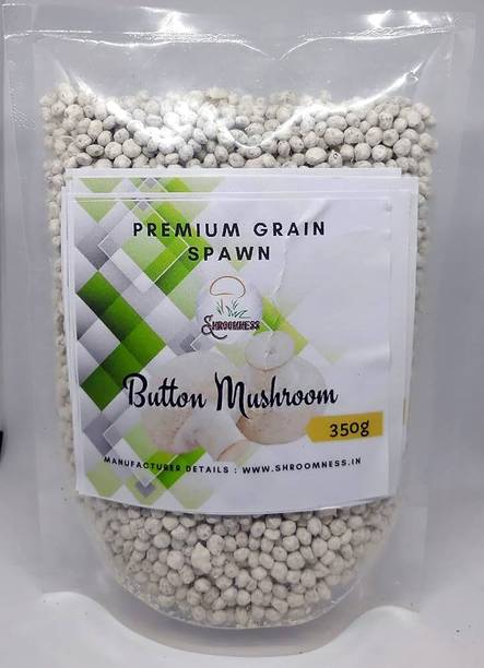 Aero Seeds Oyster Mushroom 200GM +(2 pp bag) Spawn/Seeds CO2 Variety Seed