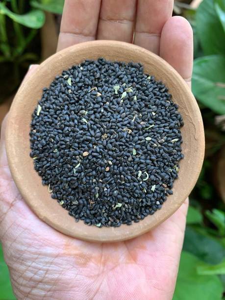 AnnieHerbs BASIL SEEDS, SABJA SEEDS, FALOODA, TAKMARIYA Seed