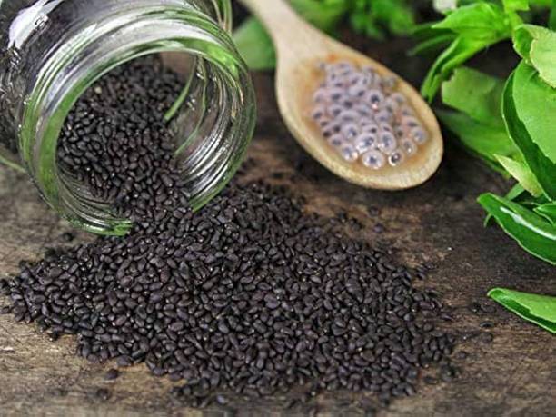 AnnieHerbs Sabja Seeds | Basil Seeds | Tukmaria Seeds – Organic & Natural for Weight Loss Seed