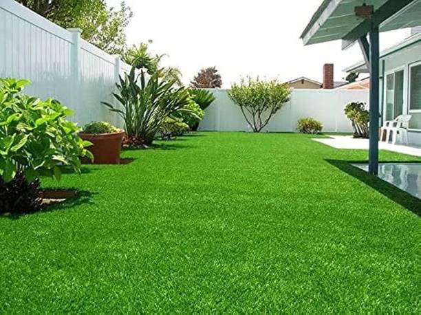SMGOLD Lawn grass seeds for home garden Seed