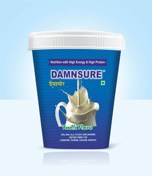 Damnsure 400 gm Whey Protein