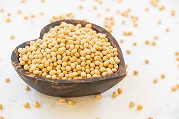 Veganic Soya Chunks