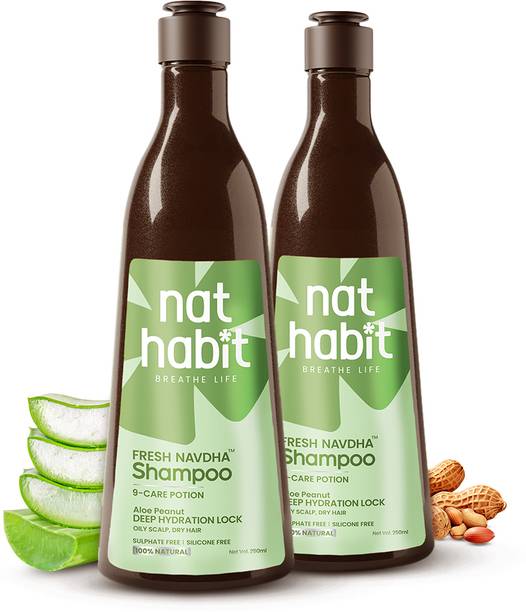 Nat Habit Natural Cleansing Shampoo For Dry & Frizzy Hair With Aloe & Peanut, Paraben Free