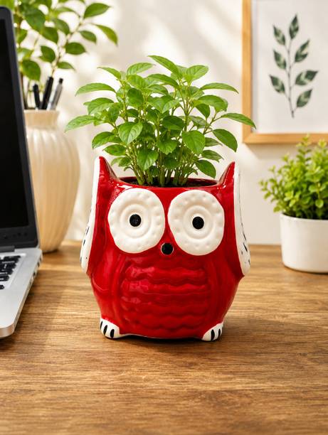 karmisha glbal KIDLux Red Glazed Ceramic Owl Planter Pot for Indoor Plants Plant Container Set