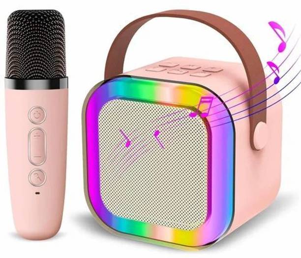 SCALITT WS-585 Speaker Mount