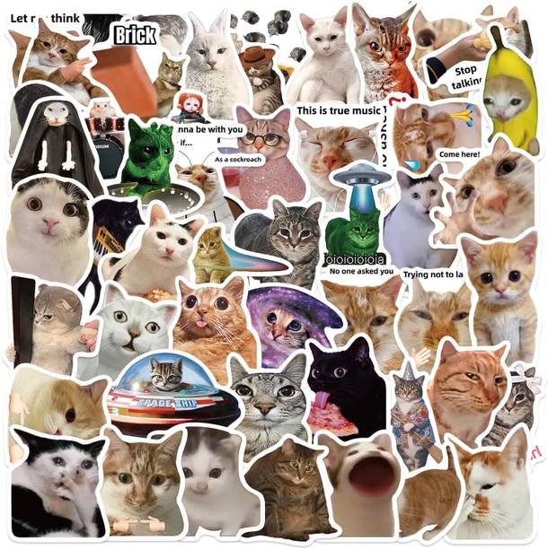 EXO DECOR 3.62 cm Funny Cat Meme Waterproof Vinyl Stickers for Laptop Water Bottle Journal Reusable Sticker