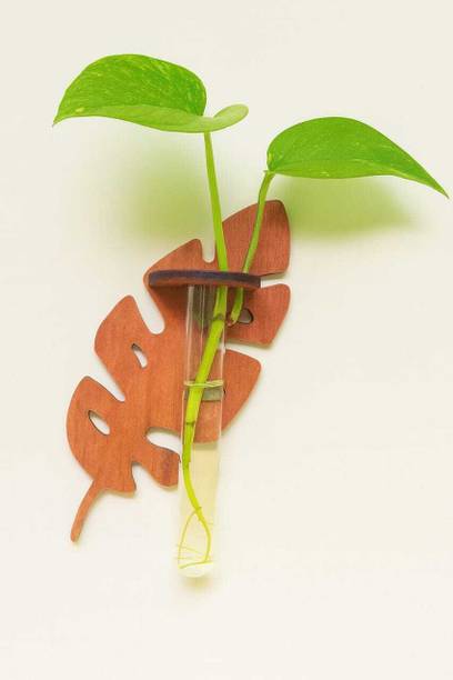 Dcarts DeCarts Wooden Wall hanging Test Tube Planter डेकोरेटिव शोपीस  -  20 cm