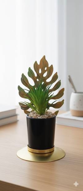 Muskan Decorative Showpiece  -  20.2 cm