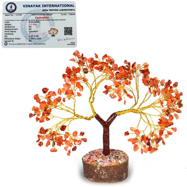 REIKI CRYSTAL PRODUCTS Certified Natural Carnelain Chip Tree 200 Beads Decorative Showpiece  -  20 cm