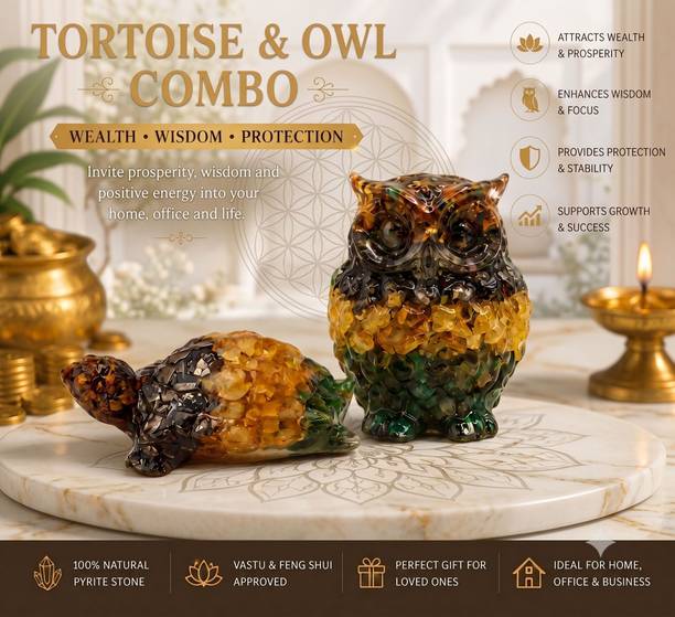 Agatesaura Arunangshu Spiritual | Home Decor | Money Magnet Owl & Money Magnet Tortoise Decorative Showpiece  -  5 cm
