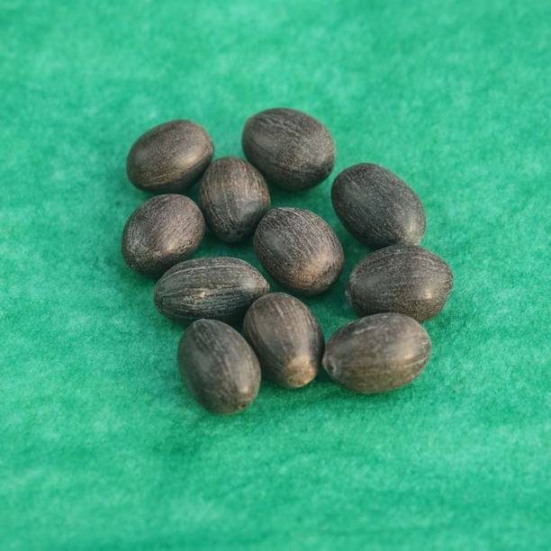 HAWAI Spritual Kamal Gatta Premium Quality for Diwali Puja, Lakshmi Puja, Kuber Pooja Decorative Showpiece  -  1 cm