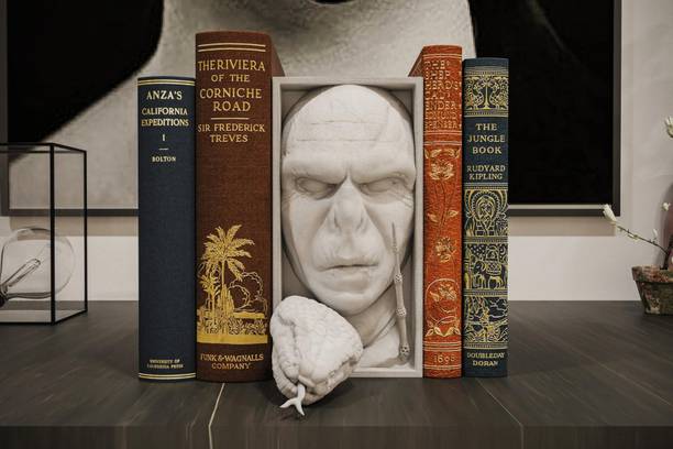 Sculptrixlabs Dark Fantasy Sorcerer Face Book Nook | Gothic Bookshelf Decor Insert Decorative Showpiece  -  17 cm