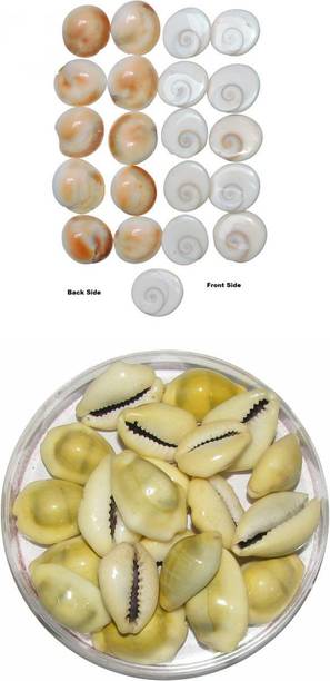 Sacred Sutra Yellow cowrie/kaudi Gomti Chakra Combo, Set of 21 Decorative Showpiece - 1 cm