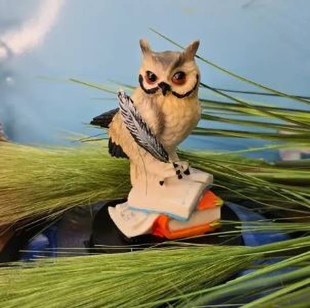 DIVINE Touch Creation Wise Owl on Books Showpiece Decorative Showpiece  -  14 cm
