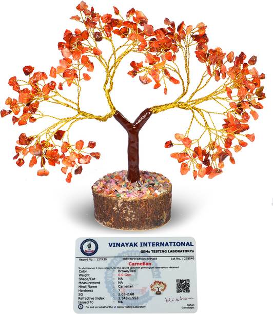 REIKI CRYSTAL PRODUCTS Certified Natural Carnelian Chip Tree 300 Beads Tree Decorative Showpiece  -  20 cm