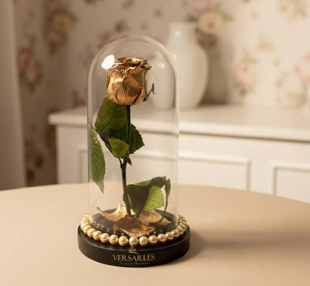 Versailles Eternal Golden Rose in Medium Glass Dome– Preserved Real Flower on Stem Gold Rose Artificial Flower