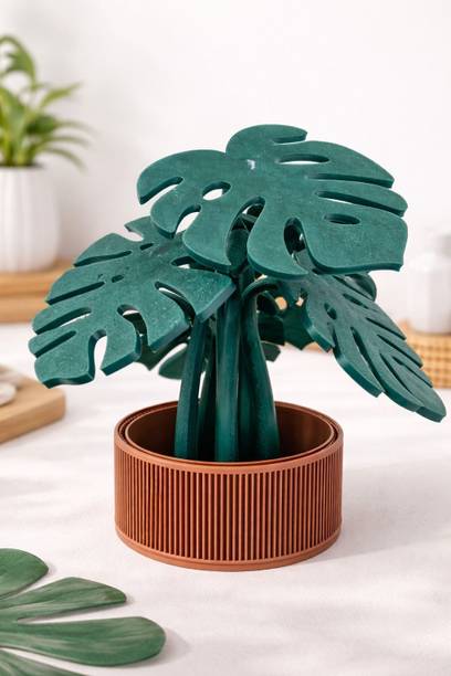 DDan Monstera Planter cum Magnetic Coasters: Decorative Showpiece - 15 cm