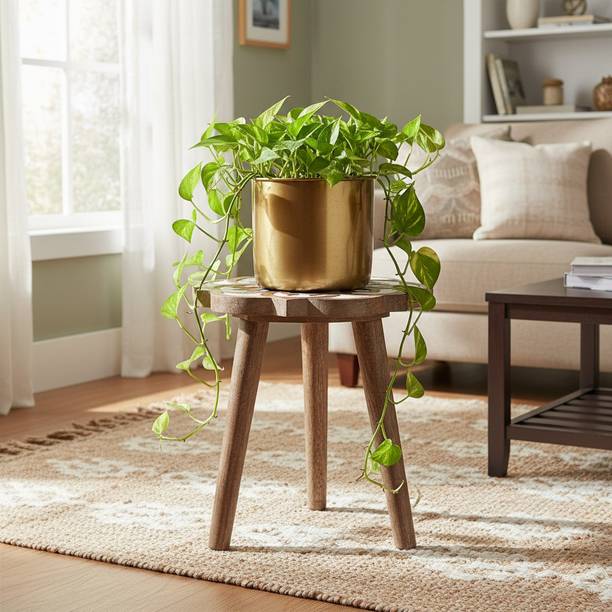 The Urban Store Sofa Side Table/ Accent Table / Pot / Statue / Night Lamp Table Solid Wood Side Table