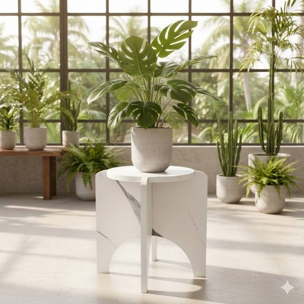 sbf furniture Engineered Wood Side Table