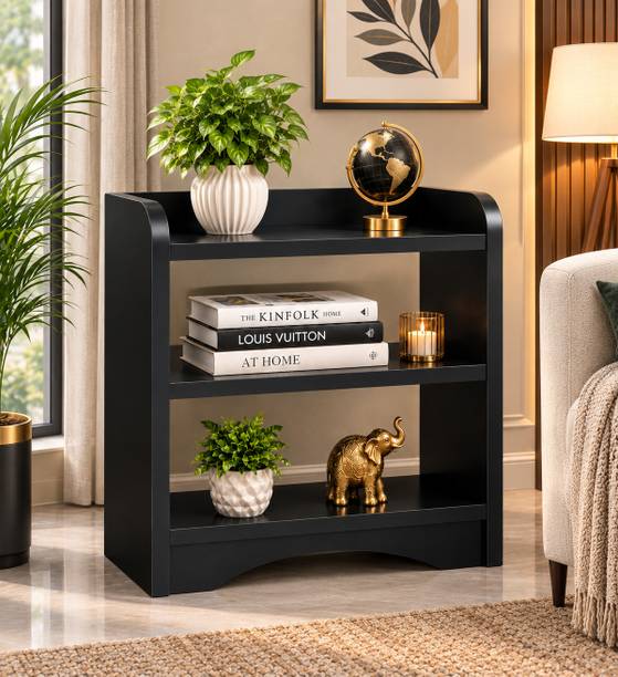SHILAT ENTERPRISES Solid Wood End Table