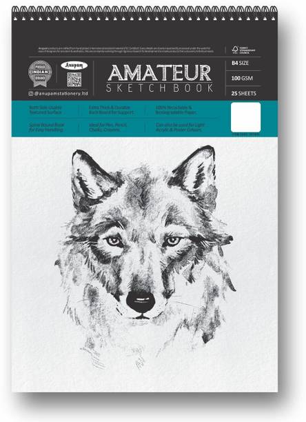 ANUPAM Amateur Sketch Book B4 Acid Free Drawing Book Top Spiral Bound Sketchbook Sketch Pad