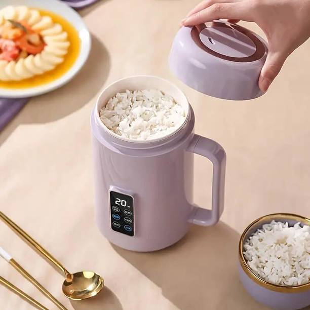DAYALU MART 1000ml Mini Electric Kettle Mug Cooker, 500W, Stainless Steel Pot, LCD Timer Slow Cooker