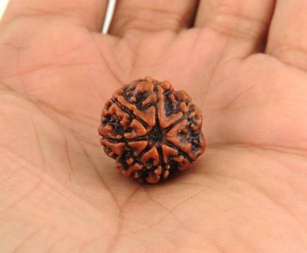 Ishwaraa Original 5 Mukhi Nepali Rudraksha for Meditation and Prayer, Protection Smart Pendant
