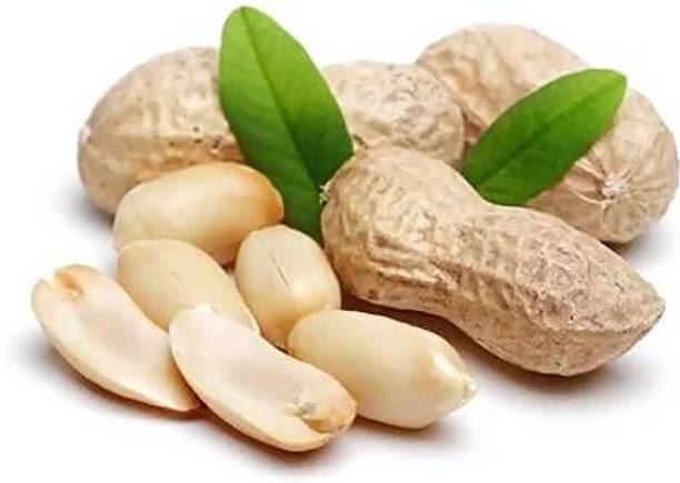Turf Fresh Roasted Bharuch Groundnut With Shell| Siki Moongfalli Jumbo Size Bharuch Peanuts