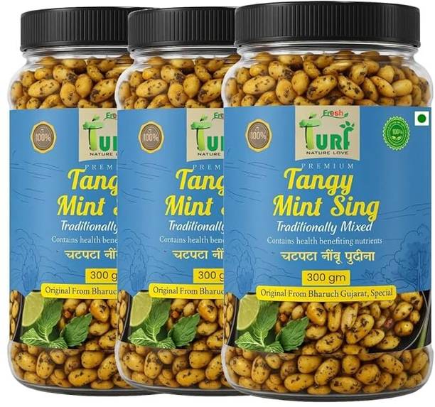 Turf Fresh Tangy Mint Crunch | Roasted Peanuts with Refreshing Mint | Tasty & Nutritious