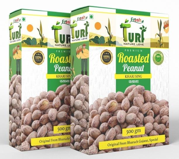 Turf Fresh Premium Roasted Salted Peanuts | (Bharuch Gujarat ) Jumbo Size/Bharuch Peanuts