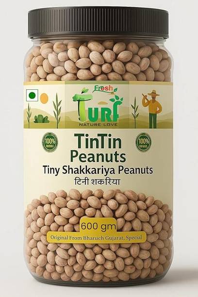 Turf Fresh Tiny Shakkariya Peanuts – Bharuch’s Sweet-Salted Delight | TinTin Mungfali
